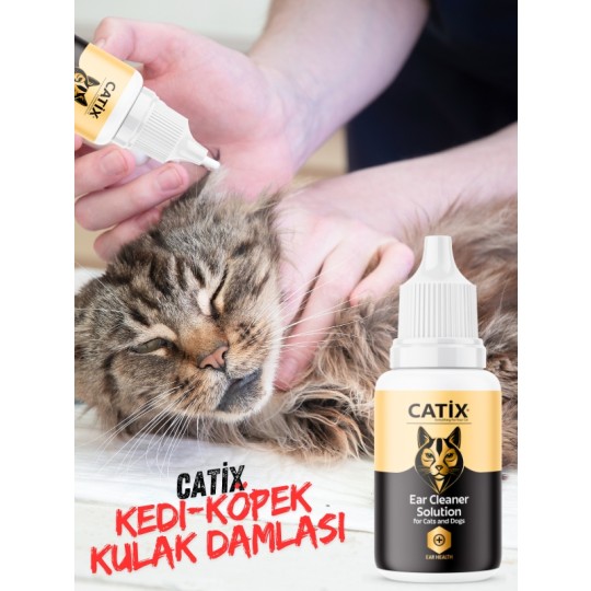mudanyapetshop