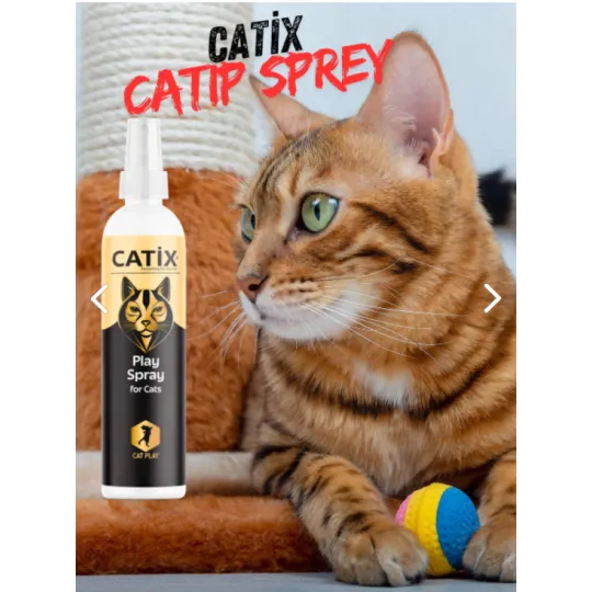 mudanyapetshop