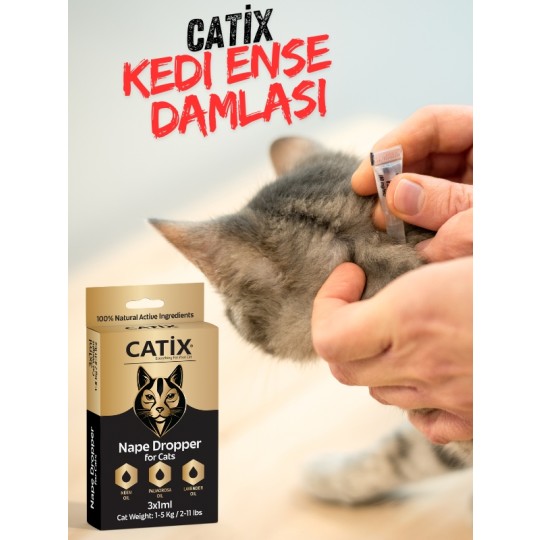 mudanyapetshop